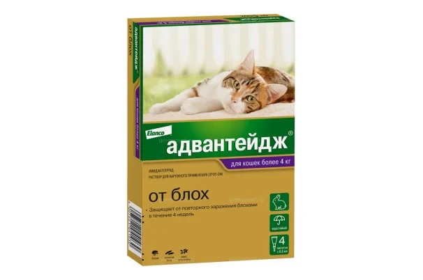 Адвантейдж 80, для кошек от 4 кг