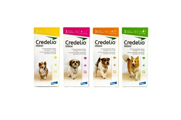 Credelio — жевательные таблетки от блох и клещей для собак
