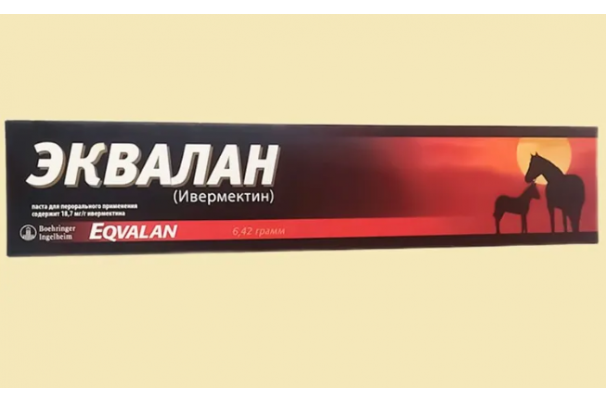  Эквалан (Eqvalan) – мощная и удобная паста для дегельминтизации лошадей