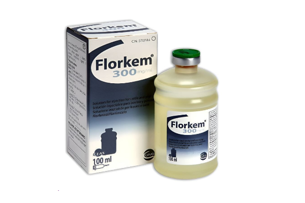 Флоркем® (Florkem®) инъекционный