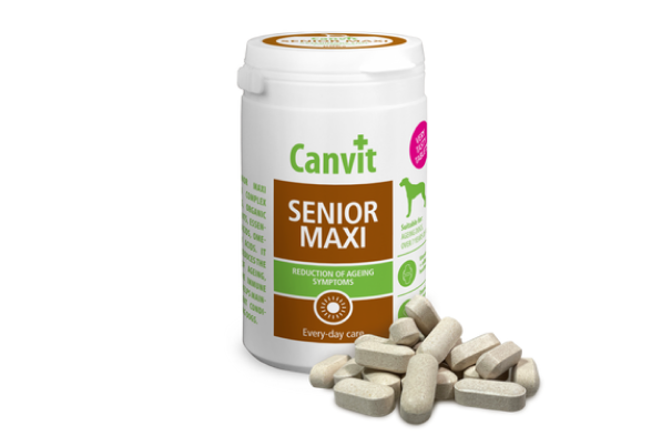 Canvit Senior MAXI