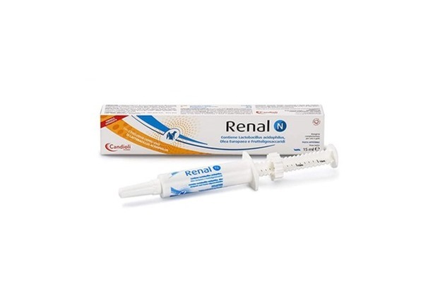 Кандиоли Renal N 15мл- Паста с почечной желчью