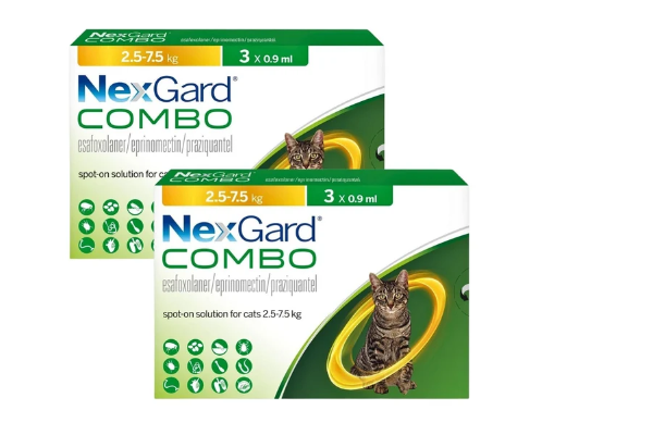 NexGard COMBO — комплексная противопаразитарная защита для кошек в одной капле