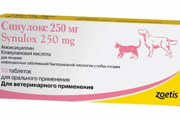 Синулокс Антибиотик для собак и кошек